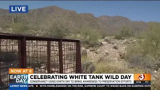 Celebrating White Tank Wild Day to protect wildlife