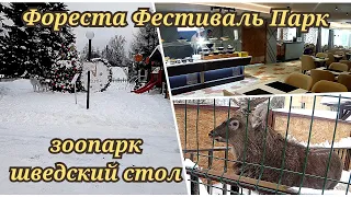 Фореста Фестиваль Парк 4* зоопарк шведский стол