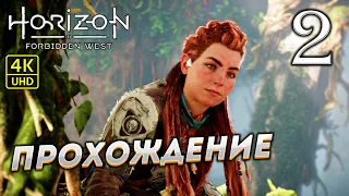 Прохождение Horizon: Forbidden West на PS4 Pro в [4K] ➤ Часть 2