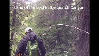 Land of the Lost in Sasquatch Canyon