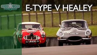 Jaguar E-Type and Austin Healey battle at Goodwood