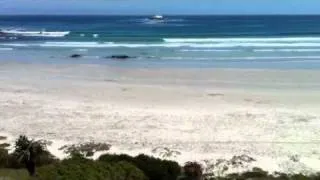 Yzerfontein (South Africa)