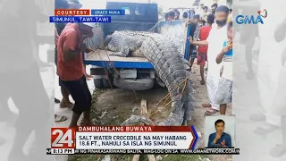 24 Oras: Higanteng salt water crocodile, nahuli sa isla ng Simunul, Tawi-Tawi