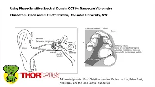 Using Phase-Sensitive Spectral Domain OCT for Nanoscale Vibrometry