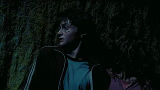 Buckbeak Saved Harry And Hermione - Harry Potter And The Prisoner Of Azkaban