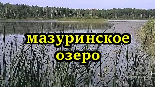 Убитое озеро. #мазуринка #отстойник #водоканал