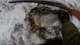 Охота на зайца со старой горизонталкой 16 калибра.Тропление по трёхдневному снегу.