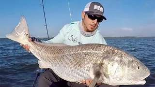 Best Time To Use CUT BAIT (To Catch Bull Redfish, Snook, Trout & Tarpon)