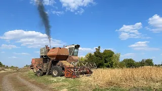 Молотим огороди НИВА СК5💪