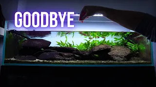 THE END of 400 days old RIVER AQUARIUM | EP10 HILLSTREAM AQUARIUM