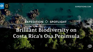 Brilliant Biodiversity on Osa Peninsula | Costa Rica | Lindblad Expeditions