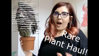 Rare Plant Haul Unboxing - OnlineBabyPlants