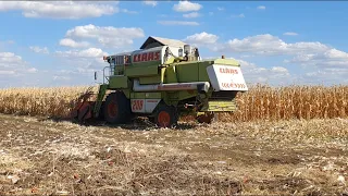 Corn harvest and preparing for planting.