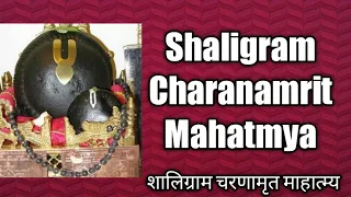 Shaligram Charanamrit Mahatmya/शालिग्राम चरणामृत माहात्म्य