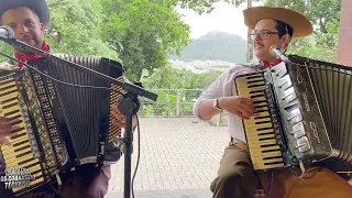 São Francisco é terra boa - Os Cobras do Teclado - Autor Irmãos Bertussi