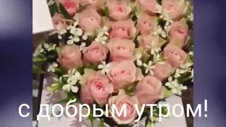 С добрым утром мои друзья