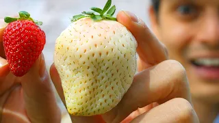 15 Expensive Fruits Only The Rich Can Afford!