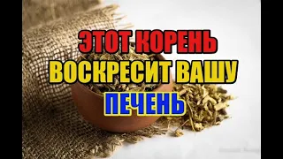 ЧУДО КОРЕНЬ - ЭЛИКСИР ДЛЯ ПЕЧЕНИ