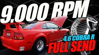 9,000 RPM "Tunnel Ram" 4.6 Cobra R Prototype | 680-Plus HP One-Off SVT Mustang