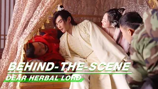 Behind-The-Scene: Love Scene Demonstration By The Director | Dear Herbal Lord | 亲爱的药王大人 | iQIYI