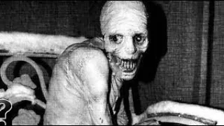 The Russian sleep experiment [part 1] war flashbacks