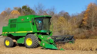 Starting Soybean Harvest