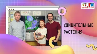 Удивительные растения | Развиваемся вместе