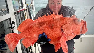 Boating and fishing out of Valdez, Alaska 2024