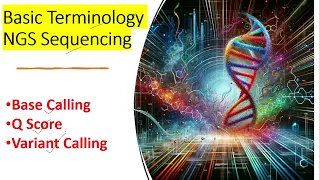 Next-Gen Sequencing (NGS) Basics: Base Calling, Q Score, Variant Calling