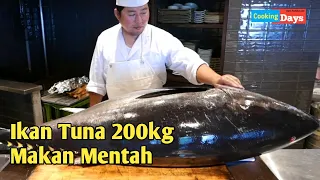 Hidangan Ikan Tuna 200Kg Makan Mentah