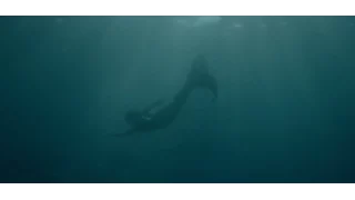 MERMAIDS Official Trailer