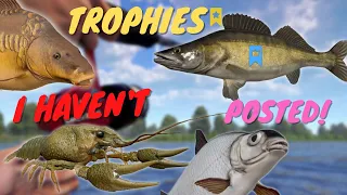 TROPHIES I HAVEN'T POSTED! | Russian fishing 4