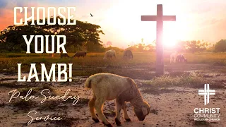 03.24.2024 Palm Sunday - Choose Your Lamb!