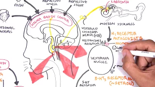 Pharmacology - Antiemetics