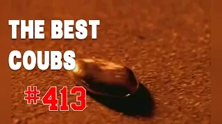 Best COUB #413 - HOT WEEKS VIDEOS