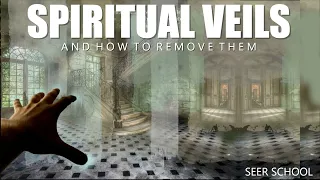 SEER SCHOOL with Michael Van Vlymen - 9 Removing Veils & Scales and Things that Block our Vision