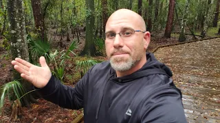 Bigfoot, Squirrels and Dead snakes.. Daily vlog.