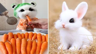 Funny and Cute Baby Bunny Rabbit Videos - Baby Animal Video Compilation #11 (2021)