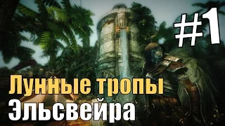 Прохождение Skyrim: #1 Лунные тропы эльсвейра