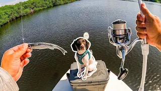 Multiple Saltwater Giants Caught On Puppy’s First Fishing Trip (Funny)