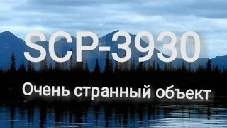 SCP-3930 — Источник упорядоченного крика