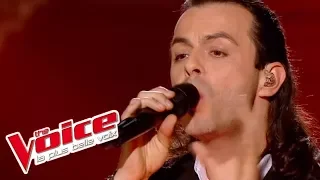 The Platters – The Great Pretender | Nuno Resende | The Voice France 2013 | Finale