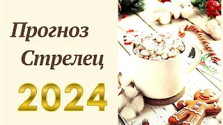 Астрологический и Таро прогноз на 2024. Стрелец