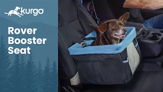 The Rover Booster Seat | Give your pup a boost