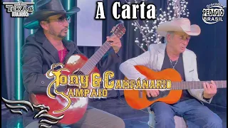 A Carta - TONY SAMPAIO E CAMPANÁRIO (Acústico gravado no estúdio Águia Music)