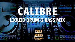 Calibre Classics - Liquid Drum & Bass Mix (Chill)