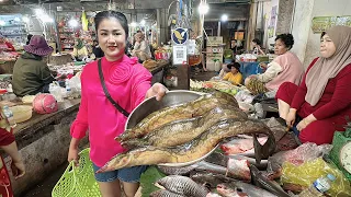 Market show: Have you ever seen kind of this fish before? - Countryside life TV