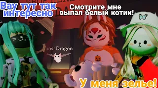 ХЭЛЛОУИНСКОЕ ОБНОВЛЕНИЕ В АДОПТ МИ!🎃 Играю вместе с друзьями Adopt Me/Roblox