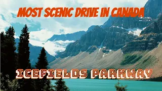 Banff to Jasper drive  | Icefields Parkway most scenic drive in Canada