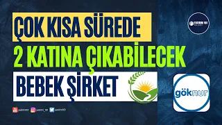 Kısa Sürede 2 Katına Çıkabilecek Bebek Şirket! - Göknur Gıda Temel Analiz